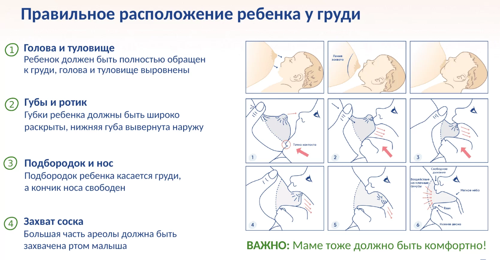 Смесь без пальмового масла