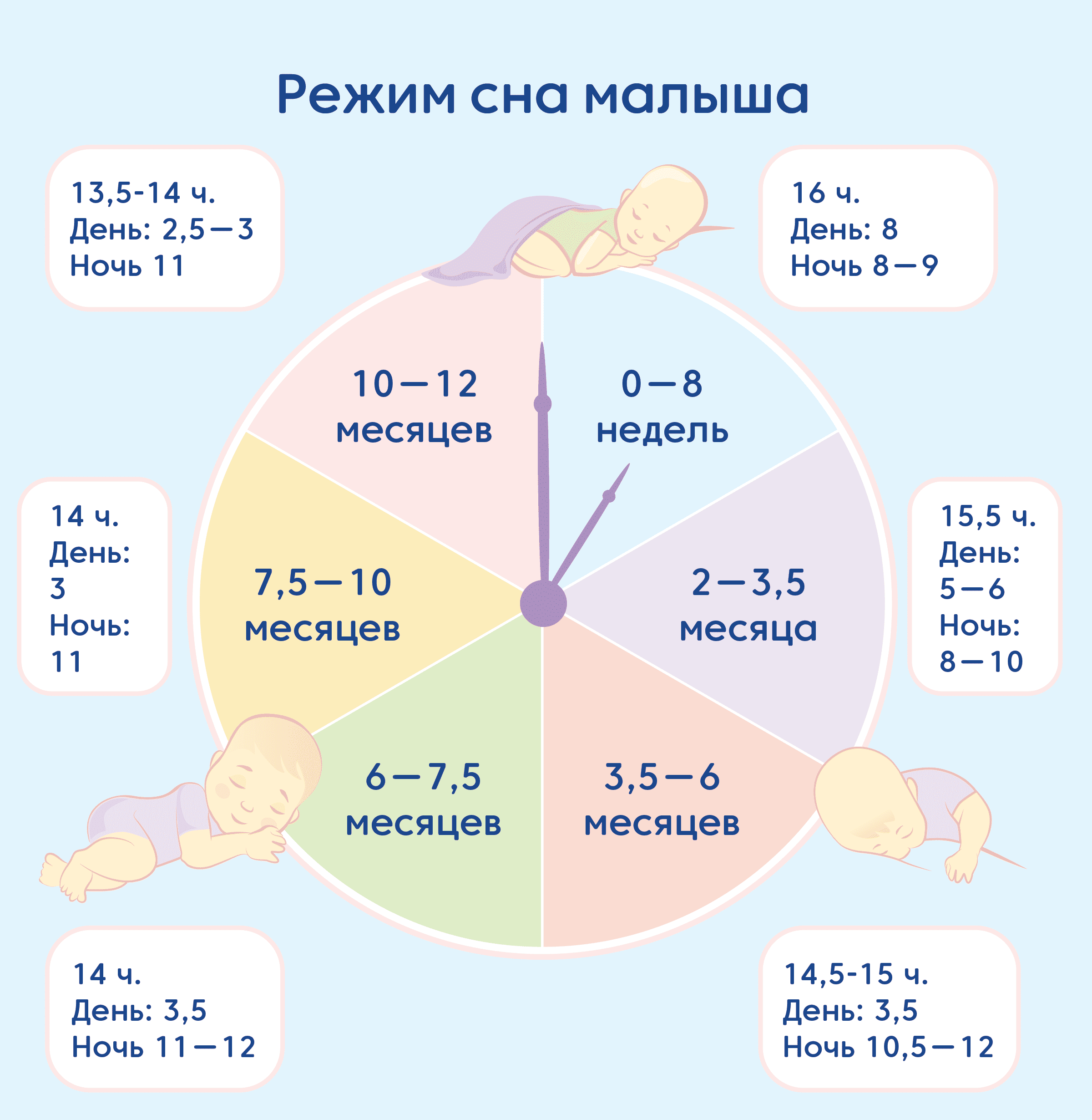 Режим сна ребенка по месяцам