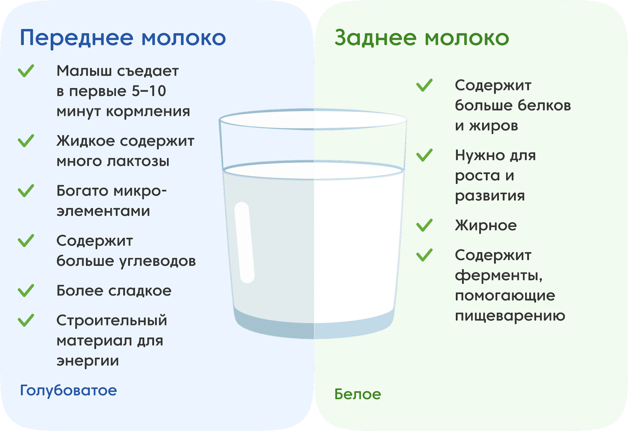 Переднее и заднее молоко