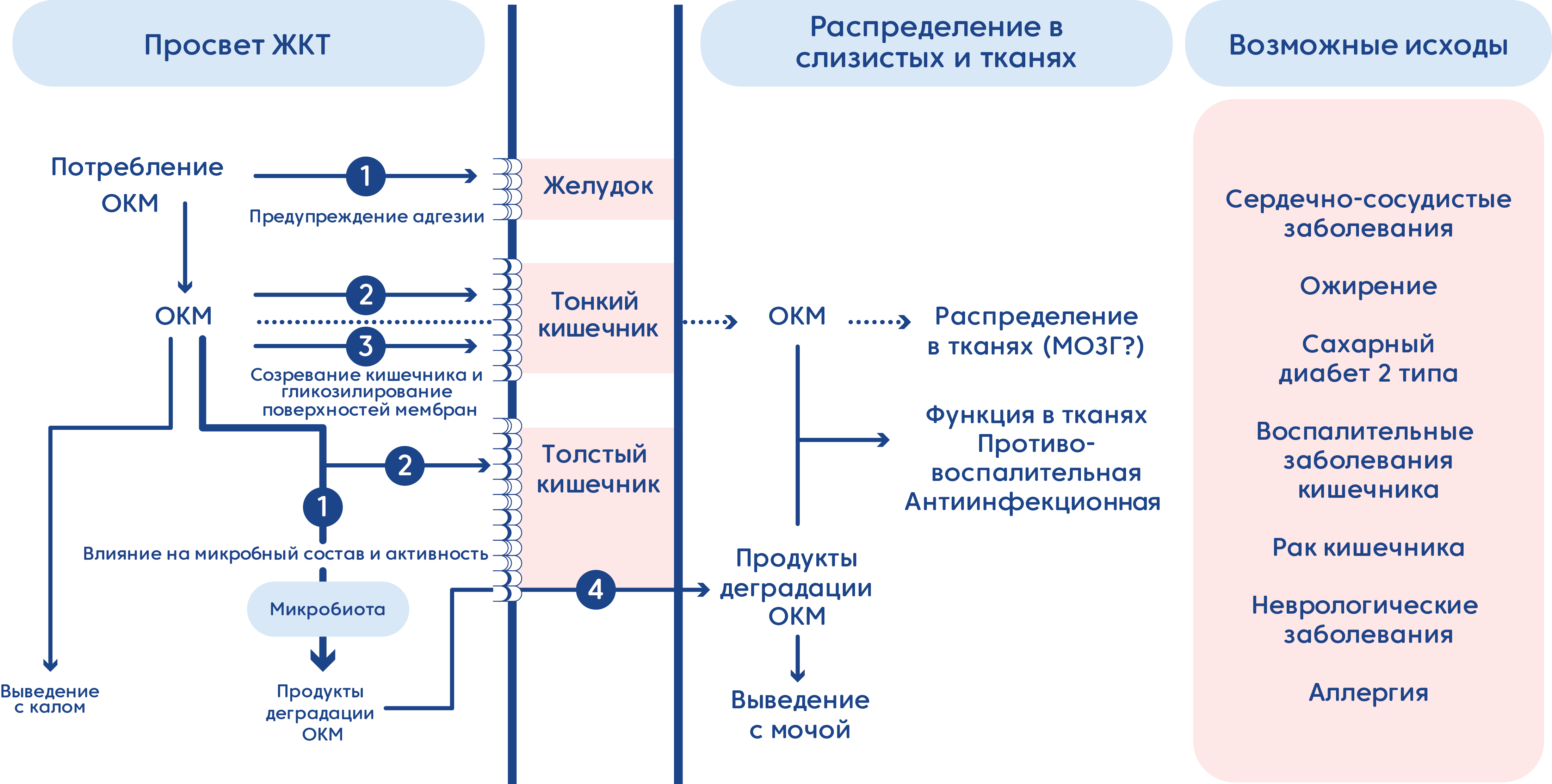 Олигосахариды грудного и козьего молока