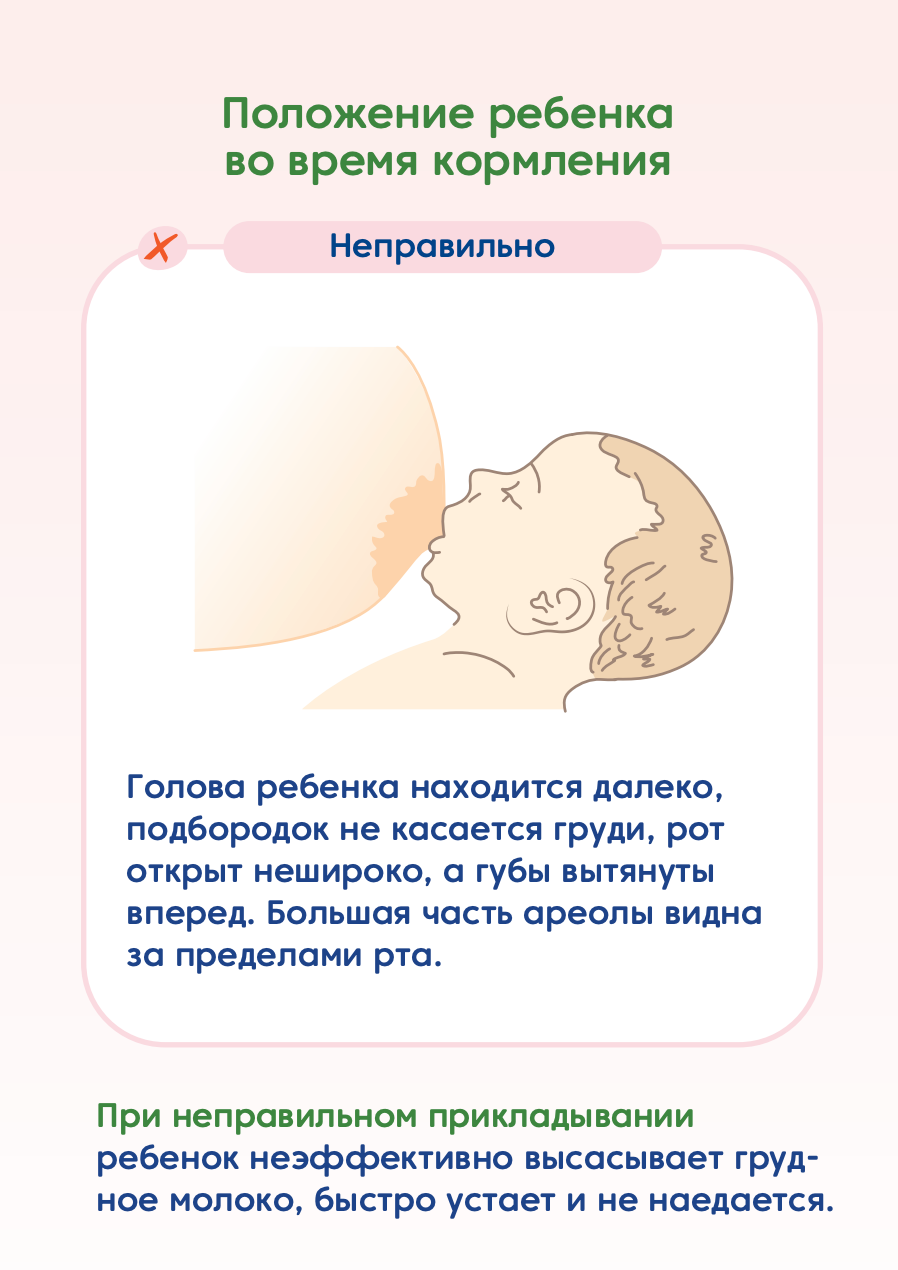 Памятка «Основные позы для кормления»